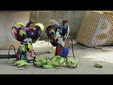 Bongo The Cheeky Monkey 6 Bongo The Cheeky Monkey - Image 4