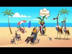 Ringo The Rabbit 7 Ringo The Rabbit -Garden Comfort Shop hqdefault 51