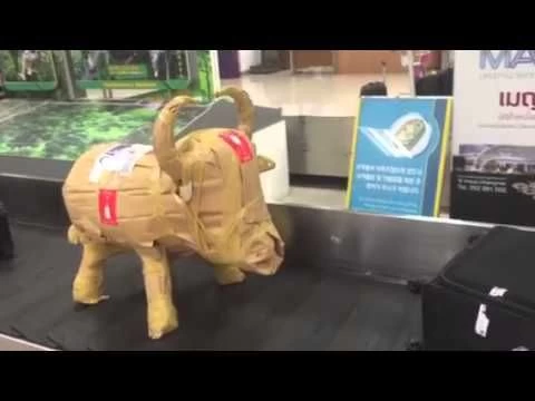 Bruce The Bull Cooler - England 5 Bruce The Bull Cooler - England - Image 3