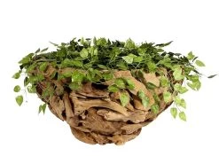 Ikal Low Planter 9 Ikal Low Planter -Garden Comfort Shop ikal planter 80bi