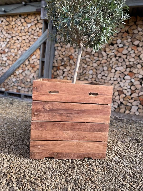 Reclaimed Teak Square Planter 7 Reclaimed Teak Square Planter - Image 5