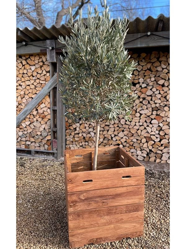 Reclaimed Teak Square Planter 4 Reclaimed Teak Square Planter - Image 2