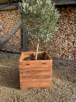 Reclaimed Teak Square Planter 14 Reclaimed Teak Square Planter -Garden Comfort Shop img 20220119 wa0036 xl