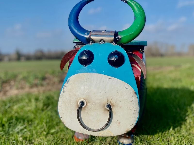 Barnyard Bull Cooler 7 Barnyard Bull Cooler - Image 5