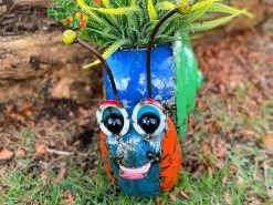 Sammy The Snail Planter 12 Sammy The Snail Planter -Garden Comfort Shop img 20220204 wa0001 xl