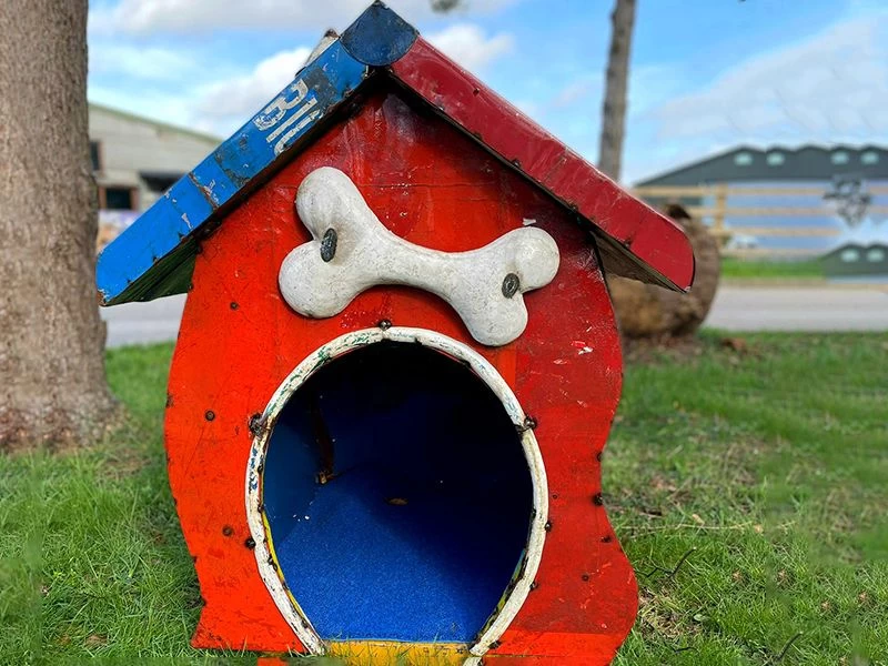 In The Dog House 6 In The Dog House - Image 4