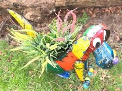 Dynamo The Dog Planter 12 Dynamo The Dog Planter -Garden Comfort Shop img 20220309 wa0020 xl