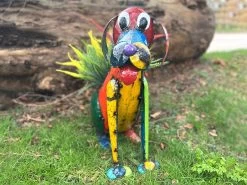 Dynamo The Dog Planter 10 Dynamo The Dog Planter -Garden Comfort Shop img 20220309 wa0024 xl