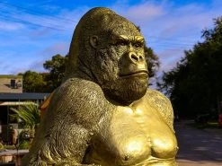 Gorilla Ornament | Gold 27 Gorilla Ornament | Gold -Garden Comfort Shop img 0440 bi
