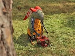 I See The Light Rabbit