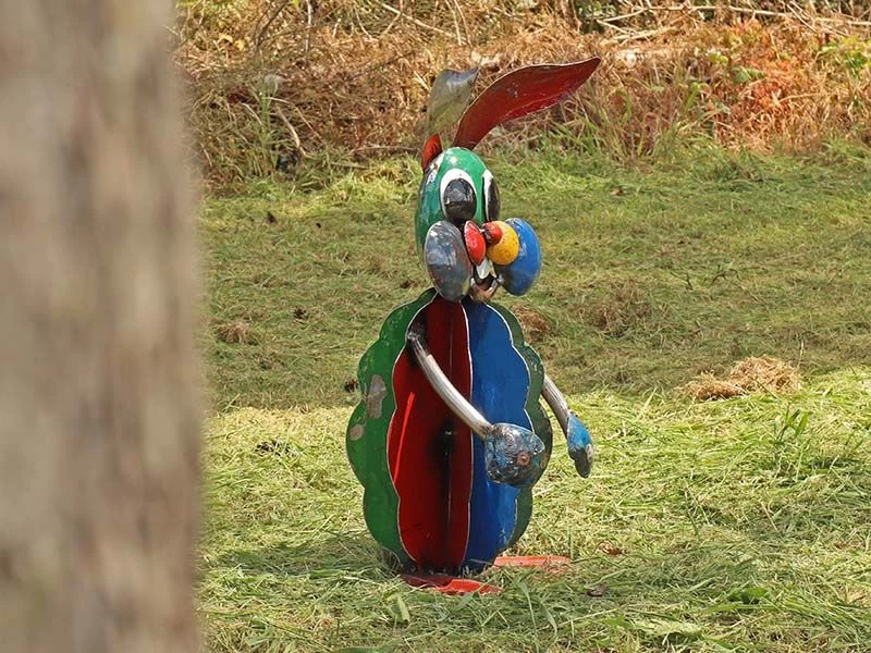 Ringo The Rabbit 3 Ringo The Rabbit