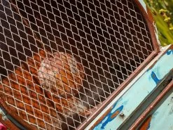 Tic Toc The Clock 26 Tic Toc The Clock -Garden Comfort Shop img 7746 2xl