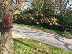 Bird Feeder Hut 10 Bird Feeder Hut -Garden Comfort Shop img 7960