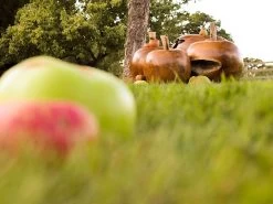 Apple Wooden Ornament 34 Apple Wooden Ornament -Garden Comfort Shop img 8227 2bi