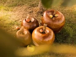 Apple Wooden Ornament