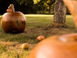 Apple Wooden Ornament 39 Apple Wooden Ornament -Garden Comfort Shop img 8236 2bi