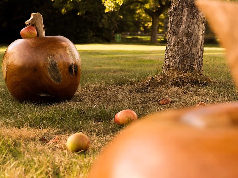 Apple Wooden Ornament 20 Apple Wooden Ornament - Image 18