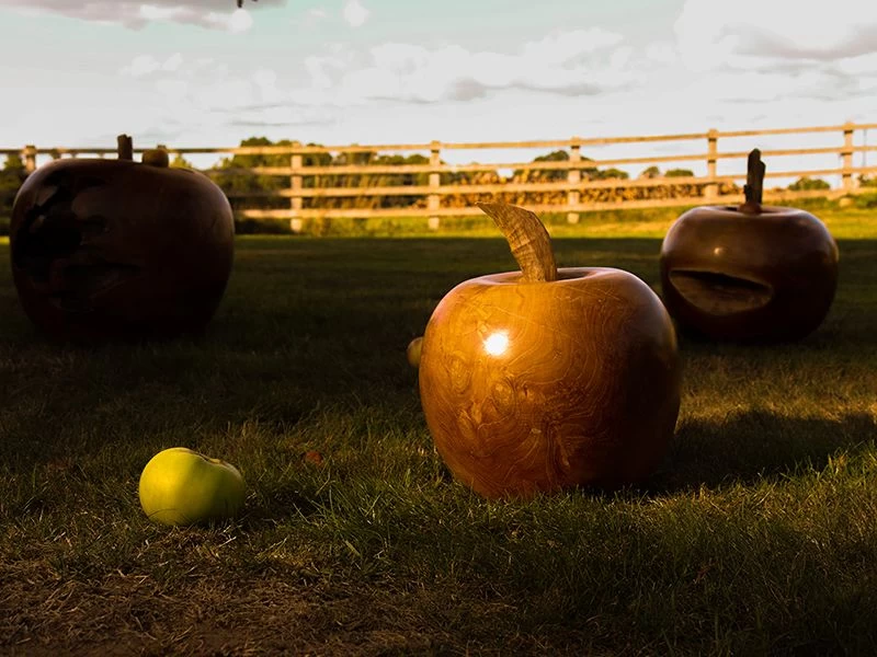 Apple Wooden Ornament 16 Apple Wooden Ornament - Image 14