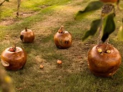 Apple Wooden Ornament 24 Apple Wooden Ornament -Garden Comfort Shop img 8246 2bi