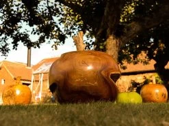 Apple Wooden Ornament 37 Apple Wooden Ornament -Garden Comfort Shop img 8251 2bi