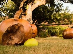 Apple Wooden Ornament 28 Apple Wooden Ornament -Garden Comfort Shop img 8271 2bi