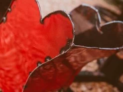 Mini Sleigh -Garden Comfort Shop img 9771