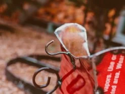 Mini Sleigh -Garden Comfort Shop img 9773