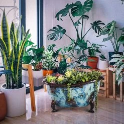 Rub A Dub Tubs 9 Rub A Dub Tubs -Garden Comfort Shop jan25 social e40448l rub a dub tub large aus. 1