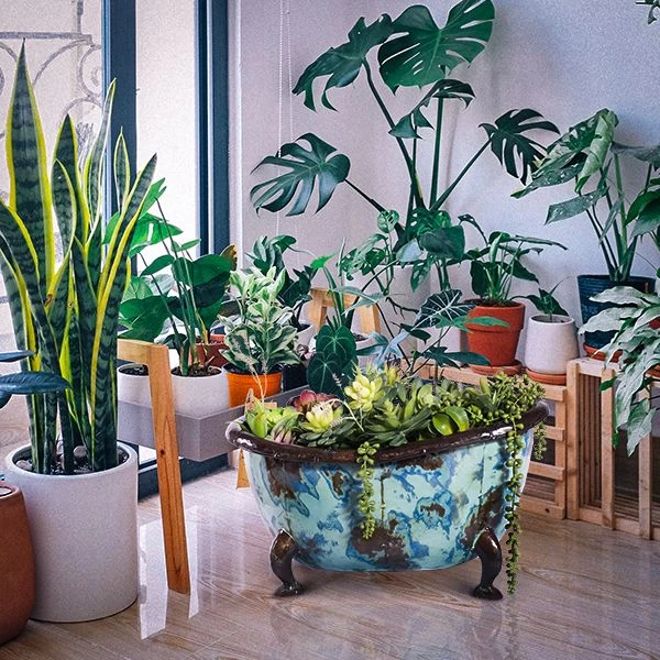 Rub A Dub Tubs 6 Rub A Dub Tubs - Image 4