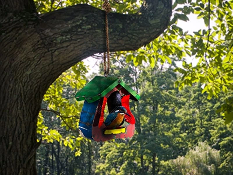 The Bird Palace 4 The Bird Palace - Image 2