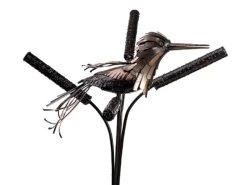 King Fisher With Reeds