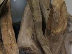 Root Table Lamp 21 Root Table Lamp -Garden Comfort Shop lamp 05 xl