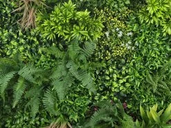 Living Wall Tile | Mixed | 1m X 1m -Garden Comfort Shop liv012 mixed bi 2 1