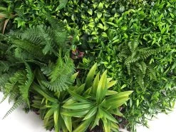 Living Wall Tile | Mixed | 1m X 1m -Garden Comfort Shop liv012 mixed bi 3 1