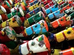 Bruce The Bull Cooler - South Africa 18 Bruce The Bull Cooler - South Africa -Garden Comfort Shop lots of bruces xl 3