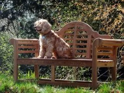 Lutyens 1.5m Bench | FSC® Certified 29 Lutyens 1.5m Bench | FSC® Certified -Garden Comfort Shop lutyens 1.5m fsc bench xl 2 2 xl