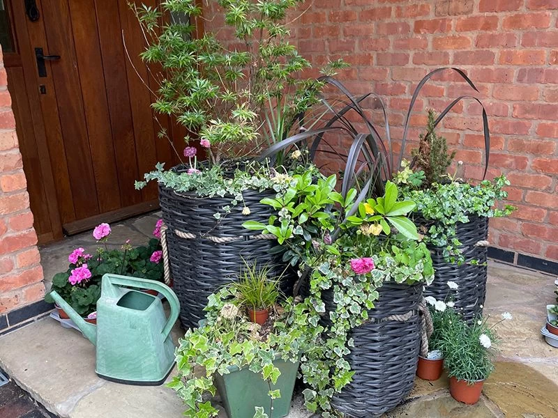 Midnight Montana Basket 4 Midnight Montana Basket - Image 2