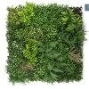 Living Wall Tile | Mixed | 1m X 1m 2 Living Wall Tile | Mixed | 1m X 1m -Garden Comfort Shop mixed tab