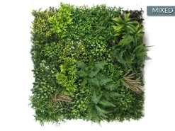 Living Wall Tile | Mixed | 1m X 1m