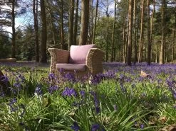 Montana Armchair - Outdoor -Garden Comfort Shop montana armchair 2 xl 1