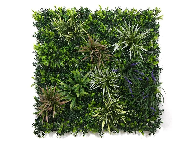 Living Wall Tile | Nepal | 1m X 1m 4 Living Wall Tile | Nepal | 1m X 1m - Image 2