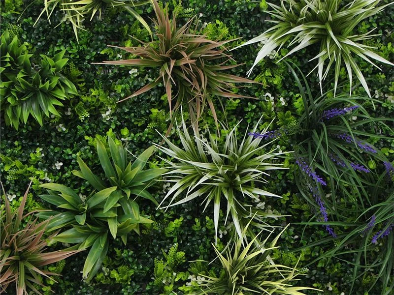 Living Wall Tile | Nepal | 1m X 1m 6 Living Wall Tile | Nepal | 1m X 1m - Image 4