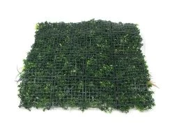 Living Wall Tile | Nepal | 1m X 1m 31 Living Wall Tile | Nepal | 1m X 1m -Garden Comfort Shop nepal bi 8
