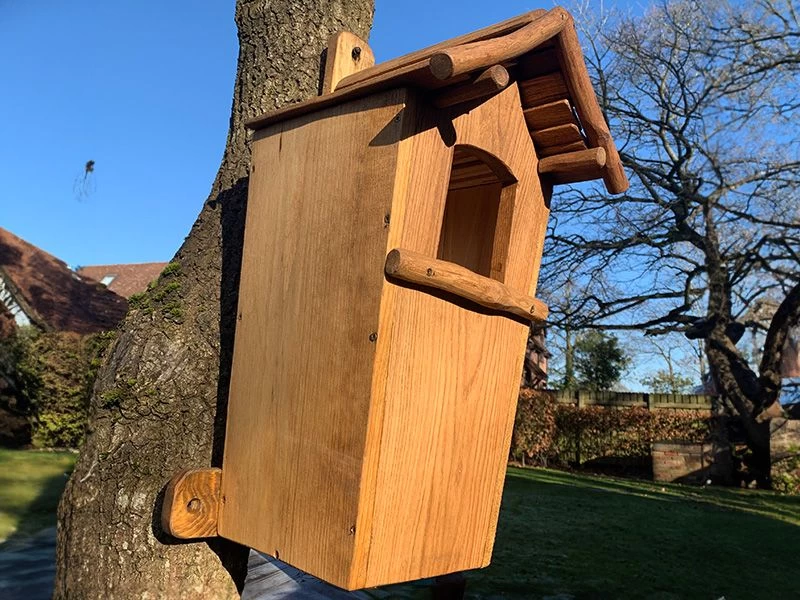 Rustic Oak Owl Box 4 Rustic Oak Owl Box - Image 2