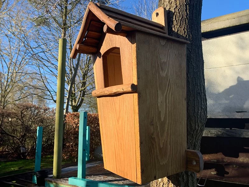Rustic Oak Owl Box 6 Rustic Oak Owl Box - Image 4