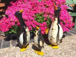 Penguin Peek Up Family -Garden Comfort Shop peek up peguins 14 bi