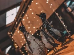 Penguin Peek Up Family -Garden Comfort Shop pengines of madigascar resized 1