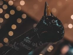 Penguin Peek Up Family -Garden Comfort Shop pengines of madigascar resized 10