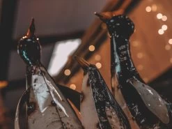 Penguin Peek Up Family -Garden Comfort Shop pengines of madigascar resized 2