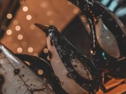 Penguin Peek Up Family -Garden Comfort Shop pengines of madigascar resized 3